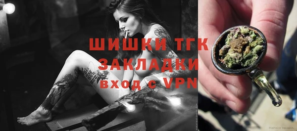 спиды Пересвет