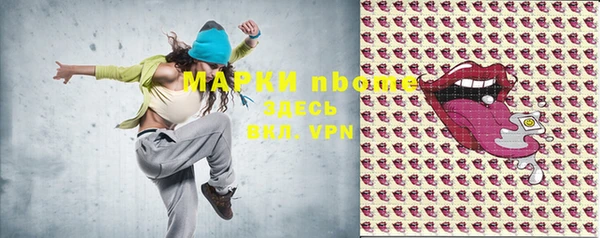 PSILOCYBIN Ельня
