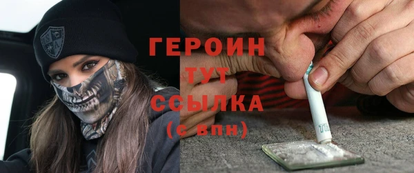 PSILOCYBIN Ельня